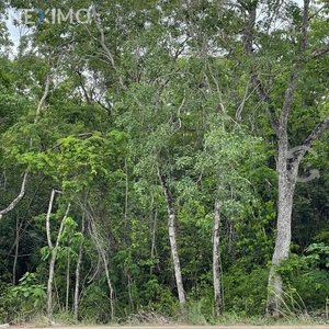 Terreno en Venta en la Región 15 de Tulum, Quintan
