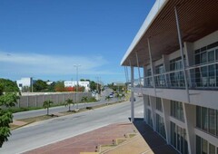 1200 m plaza isla ceiba locales y oficinas en renta p1610