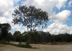 2500 m terreno en renta en cancún, colegios 2500 m2. zona huayacán