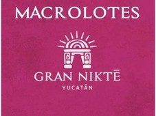 macrolotes gran nikte sisal