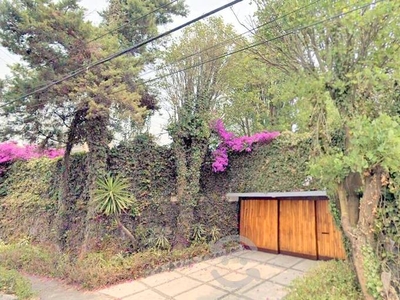 jardines del pedregal casa solo una planta jardin