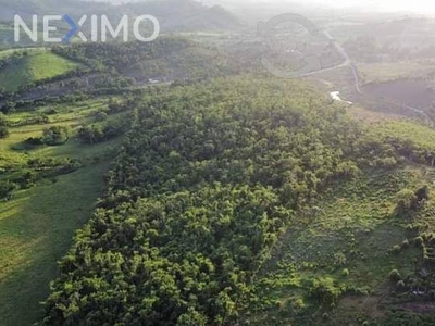 terreno en venta en el chote coatzintla, veracruz,