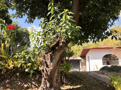 Casa en venta en Cuernavaca Centro