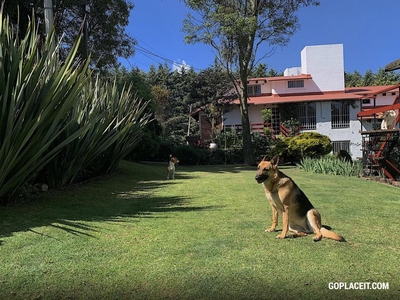 Departamento, RENTA DE LOFT EN CONTADERO CUAJIMALPA DE MORELOS CDMX, Contadero - 2 baños