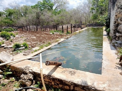 Rancho X-TABAY con cenotes, ubicado en Zavala, Yucatán