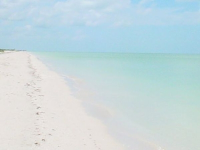 Terreno a pie de playa en Celestún Yucatan