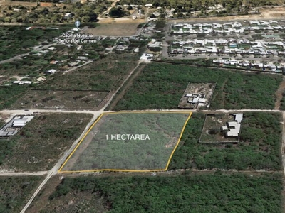 TERRENO DE OPORTUNIDAD EN TEMOZÓN NORTE, 1 HECTÁREA A 1KM DE PLAZA LA ISLA