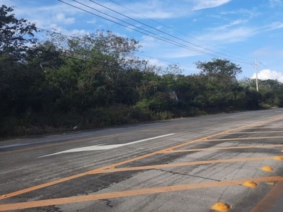 Terreno ideal para desarrollar sobre carretera Cholul-Sitpach, Merida Yucatán.