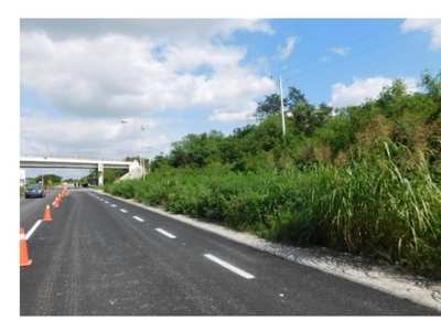 Terreno Tanil Carretera Mérida- Campeche cerca de Procon Planta Waad