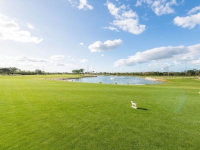 Terrenos en venta 1era etapa Provincia Club de Golf Mérida Yuc.