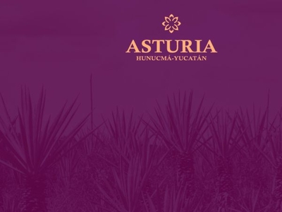 ASTURIA HUNUCMÁ LOTES RÚSTICOS DESDE $1,950.00 MENSUAL