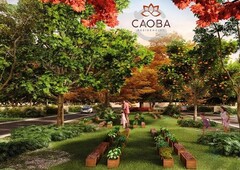 caoba lotes residenciales