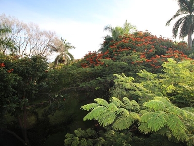 Casa En Venta Las Palmas