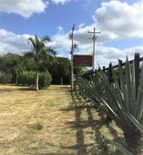 rancho en venta con 2 cenotes y salones de eventos en suytunchen, merida, yucatan. precio negociable