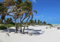 10000 m terreno en venta en isla blanca cancún