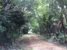 10000 m terreno en venta en puerto morelos riviera maya ruta de los