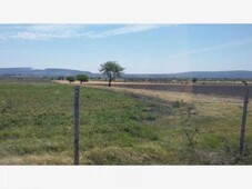 100000 m terreno en venta en rancho abasolo mx19-fp6086