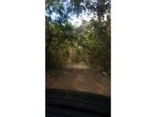 140000 m remat terreno en la ruta de los cenotes