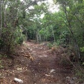 19 m terreno ruta de los cenotes 19 ha