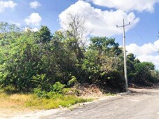 2000 m terreno en venta alfredo v. bonfil colonia doctores, cancún