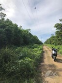 200000 m terreno en venta en ruta de los cenotes