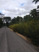 30 m terreno ruta de los cenotes 30 ha.