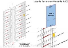 3000 m terreno ecológico en venta de 3,000 m2, fracc. el ramonal, sm 1