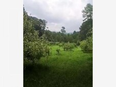 30000 m terreno en venta en pino real mx19-fz3511