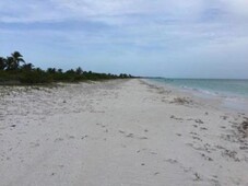 40000 m terreno en venta en holbox mx19-gn5280