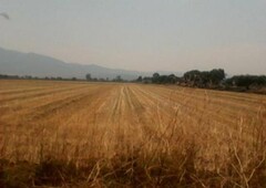400000 m se vende rancho en irapuato gto., 40 hectareas