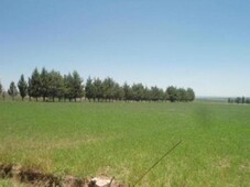 5 cuartos, 600 m finca rancho en venta en dolores hidalgo centro mx13-ak6133