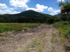 60000 m terreno en venta en el vegil mx19-gg1055