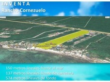 7 m rancho cornezuelo terreno en venta en riviera maya qroo