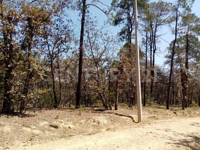 Terreno En Venta En Bosque Real, Huasca De Ocampo, Hidalgo