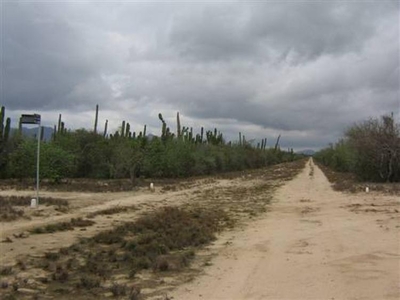 Terreno en Venta en El Carrizal, Baja California Sur