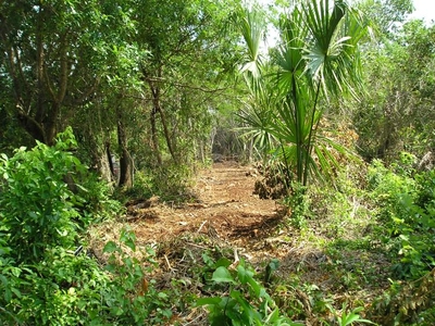 Terreno en Venta en GRANJAS Chetumal, Quintana Roo
