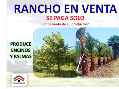 Finca/rancho En Venta En Cadereyta Jimenez Centro