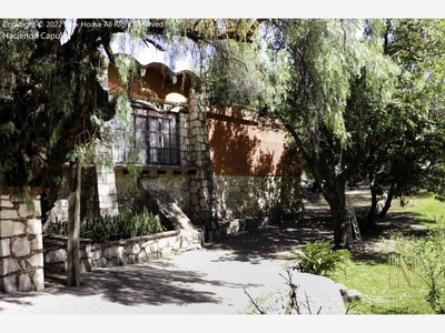 New House Bienes Raíces Tiene Para Ti Esta Hacienda El Capulín Desde El Siglo Xviii En Carretera Libre Silao Guanajuato En Venta