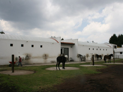 Rancho En Venta Santo Tomas Ajusco Tlalpan