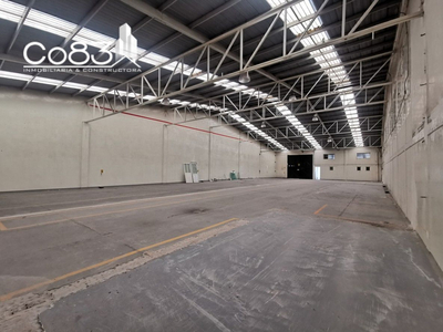 Renta - Nave Industrial - San Rafael - 1,259 M2