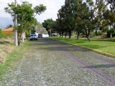 Terreno Residencial En Venta | El Cortijo - San Agustín | Tl
