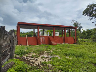 Venta De Rancho Ganadero En Activo, Buctzotz Yucatán, Con Cenotes.