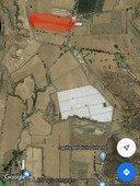 Terreno en Venta Tesistán Industrial, agrícola desarrollo vivienda