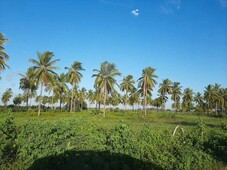 terreno en los corchos, nayarit a crédito