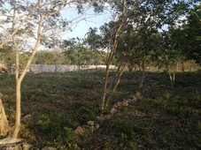 Venta de terreno de oportunidad zona norte Mérida, Yucatán. Cholul