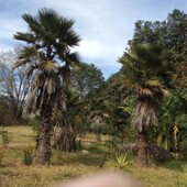 venta de terreno en valle de bravo