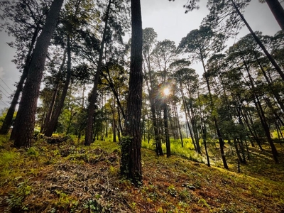 TERRENO EN VENTA A 5 MINUTOS DEL CLUB DE GOLF AVANDARO EN VALLE DE BRAVO