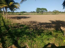 terreno en venta, alvarado, veracruz de ignacio de la llave