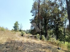 GRANDIOSO TERRENO CON BOSQUE Y LLANURA