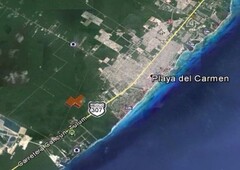 playa maya q.roo